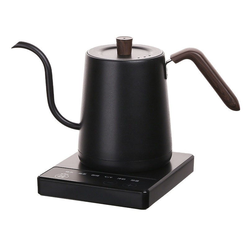 Tea And Coffee Kettle - Edelstahl-Wasserkocher mit Schwanenhals und Temperaturregelung für