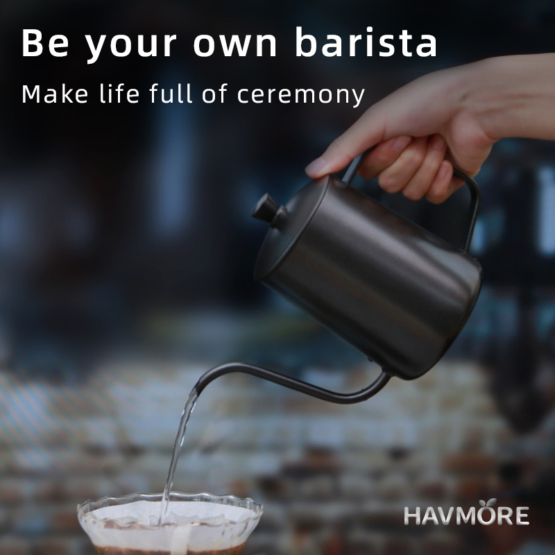 HAVMORE Teekessel aus Edelstah – Tea And Coffee Kettle Bewertung und Preis